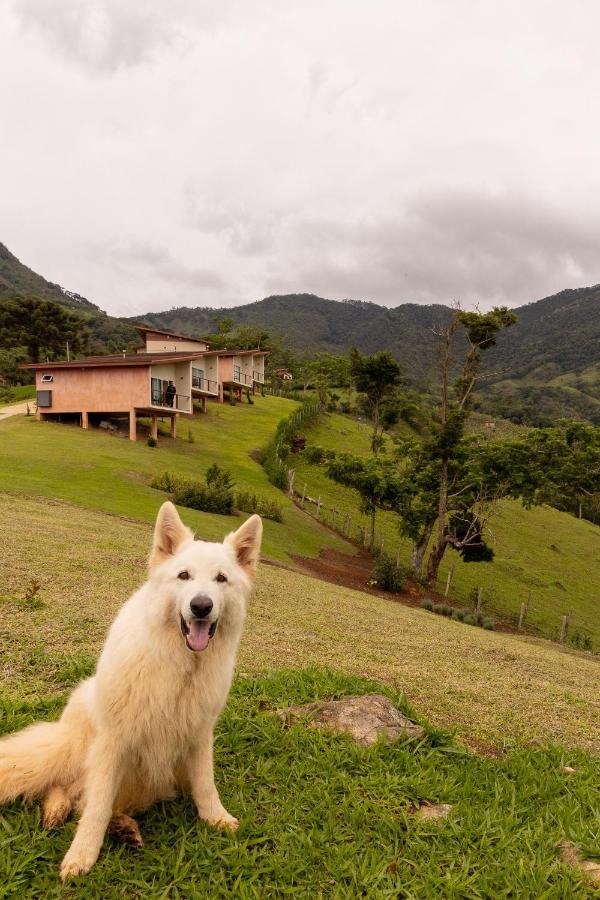 Pousada Terra dos Pássaros São Bento do Sapucaí Exterior foto