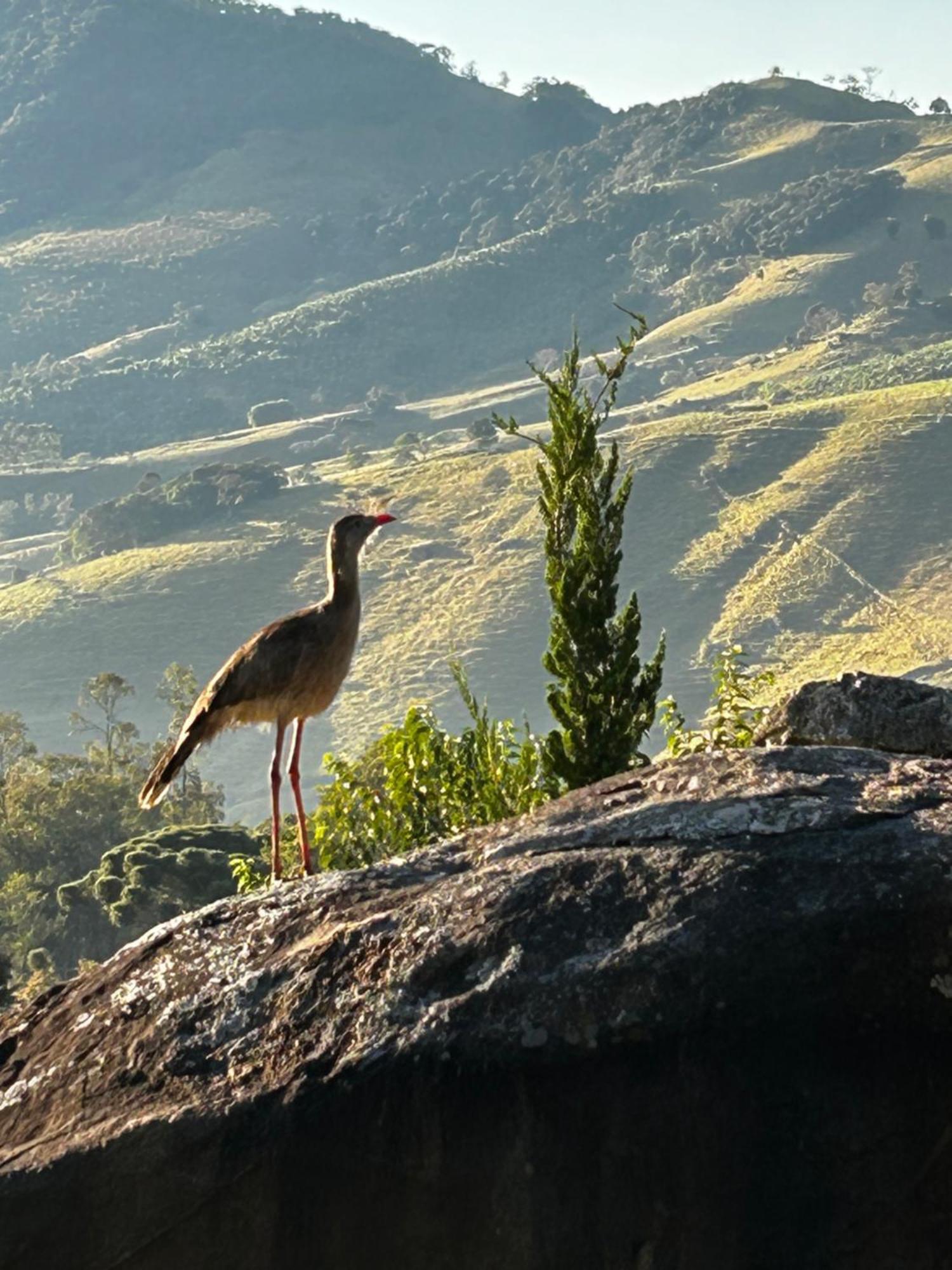 Pousada Terra dos Pássaros São Bento do Sapucaí Exterior foto